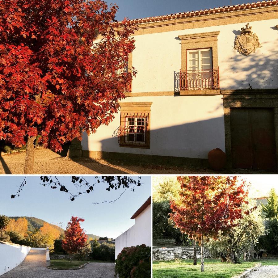 Quinta Da Porta - Solar De Vale De Prazeres Villa Екстериор снимка