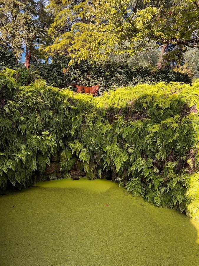 Quinta Da Porta - Solar De Vale De Prazeres Villa Екстериор снимка