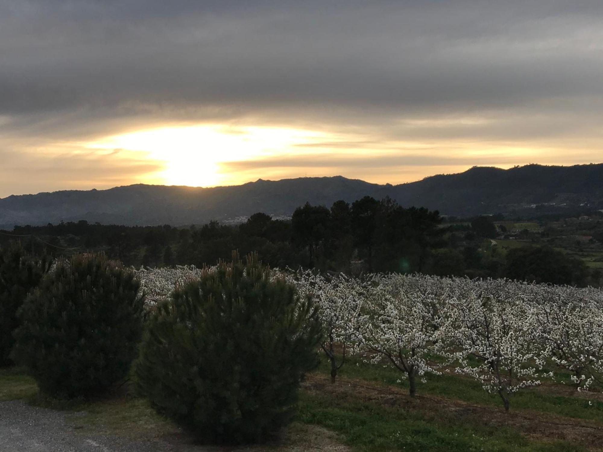 Quinta Da Porta - Solar De Vale De Prazeres Villa Екстериор снимка