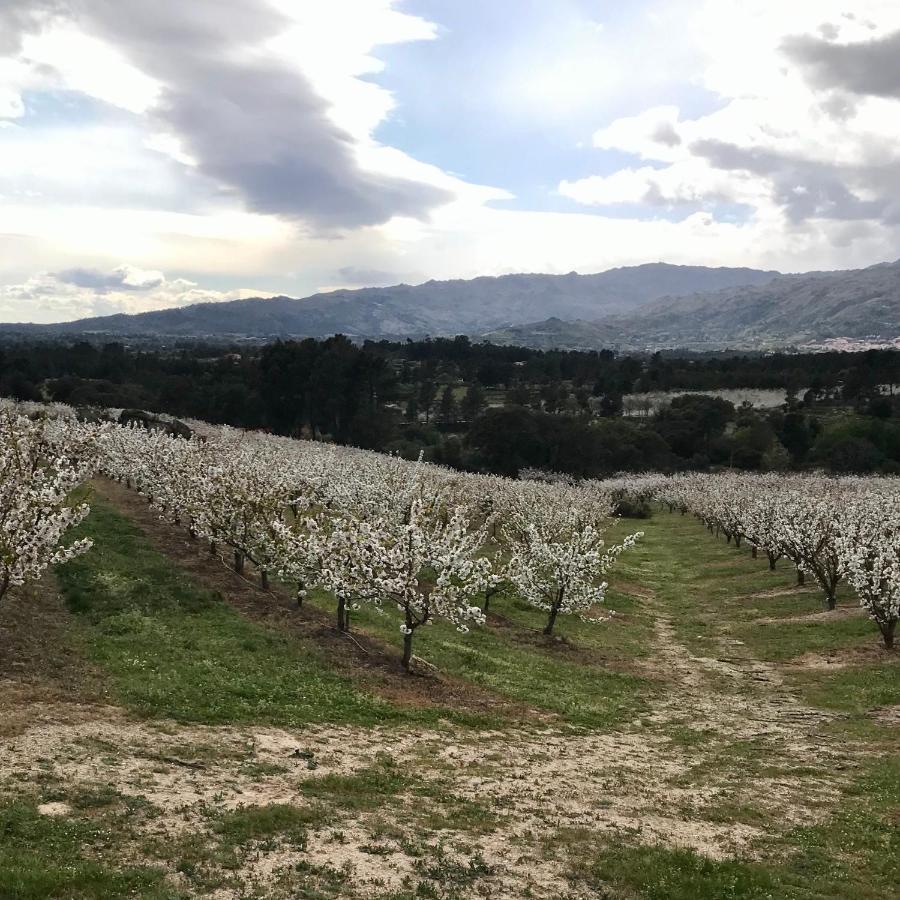 Quinta Da Porta - Solar De Vale De Prazeres Villa Екстериор снимка