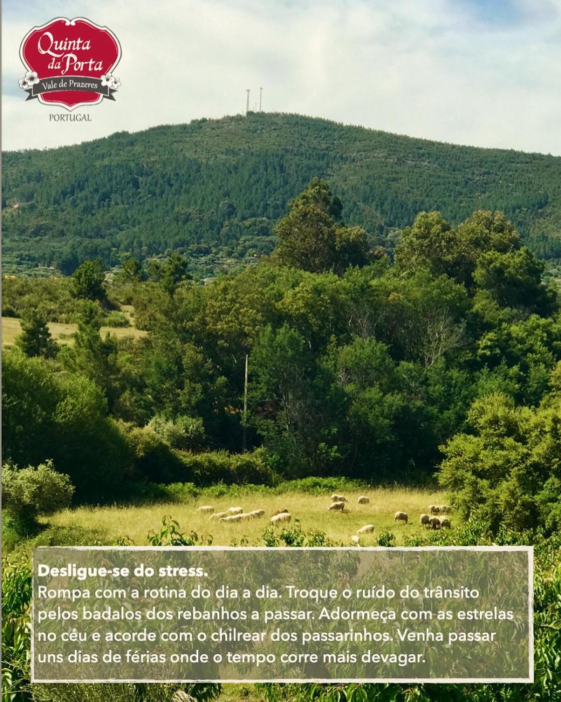 Quinta Da Porta - Solar De Vale De Prazeres Villa Екстериор снимка